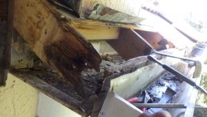 Truss ends rotten caused by roof leak